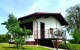 Apartma Kapelski Fant